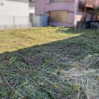 画像1678