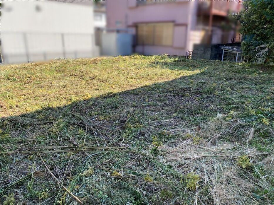 画像1678