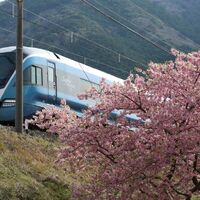画像2274