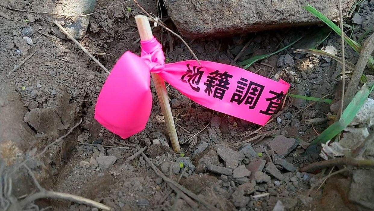 画像2731