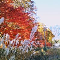 画像2933