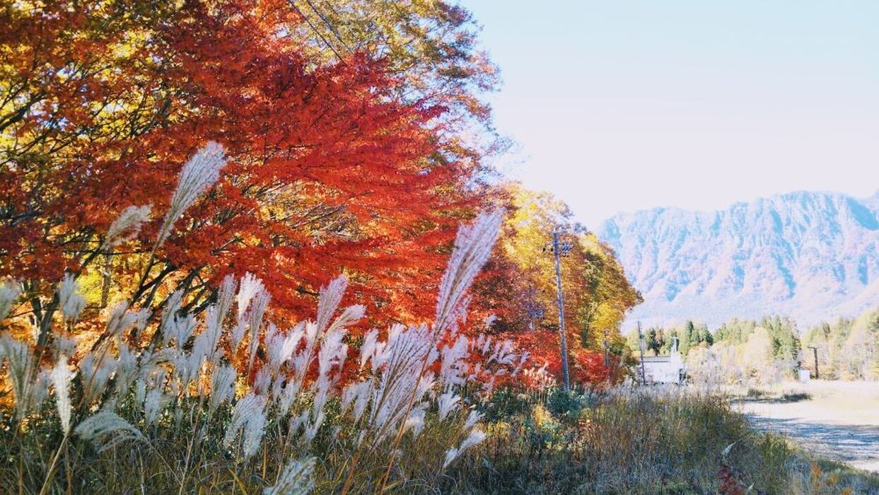 画像2933