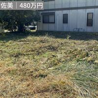 画像3344