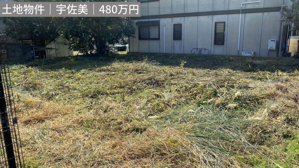 画像3344