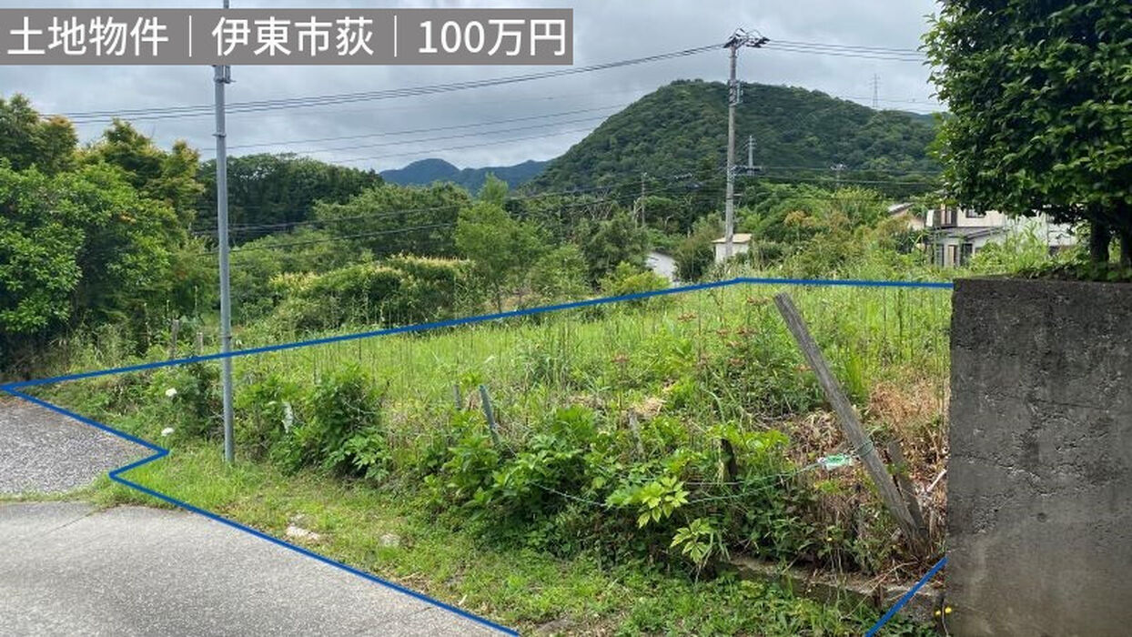 画像4225