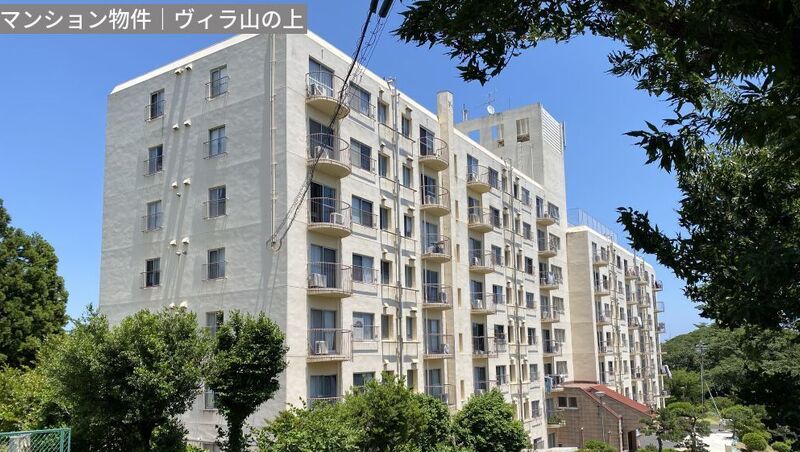 画像4287