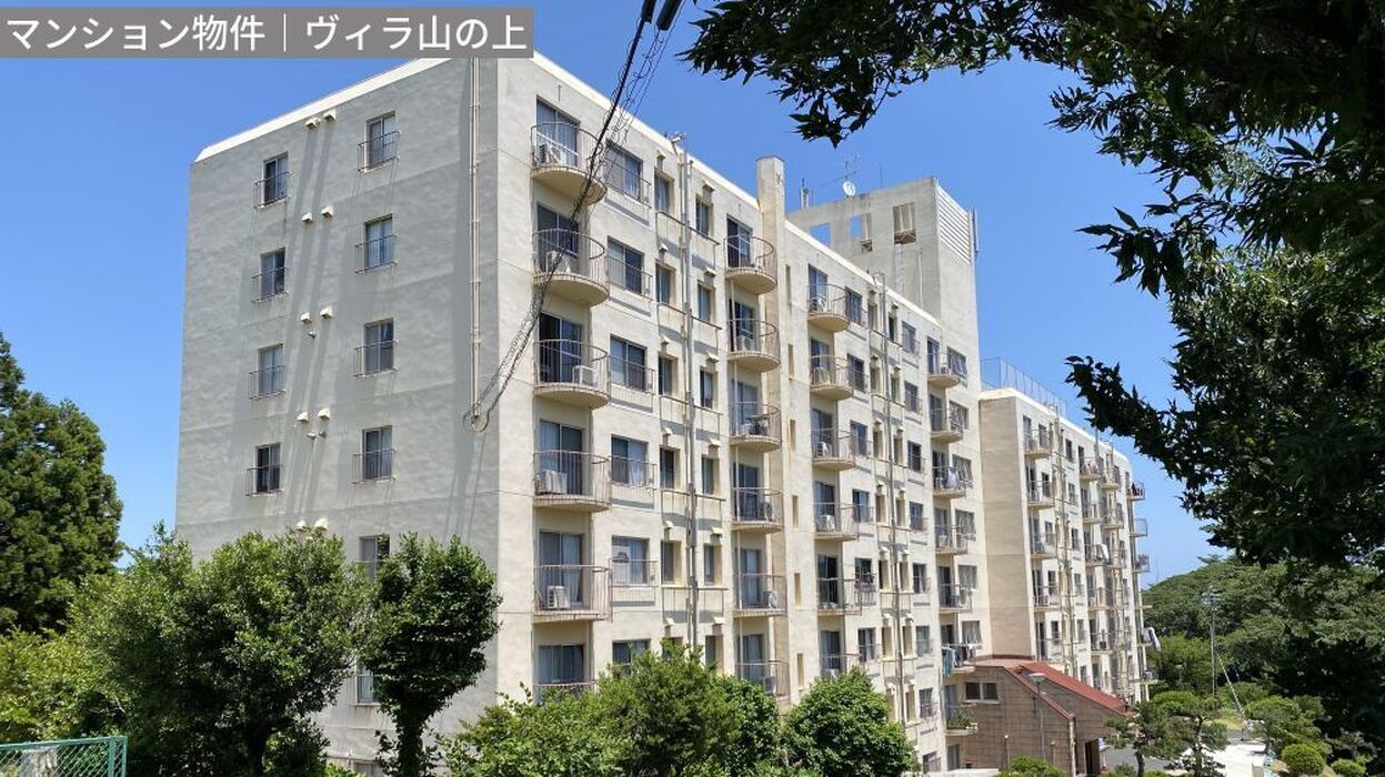 画像4287