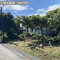 画像4335