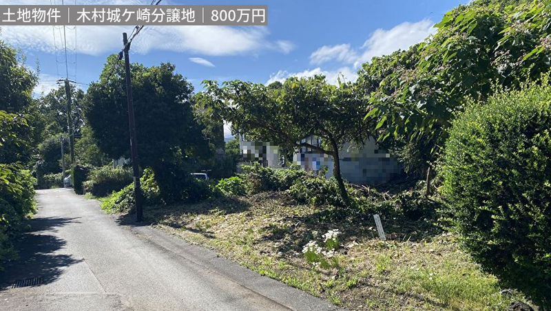 画像4335