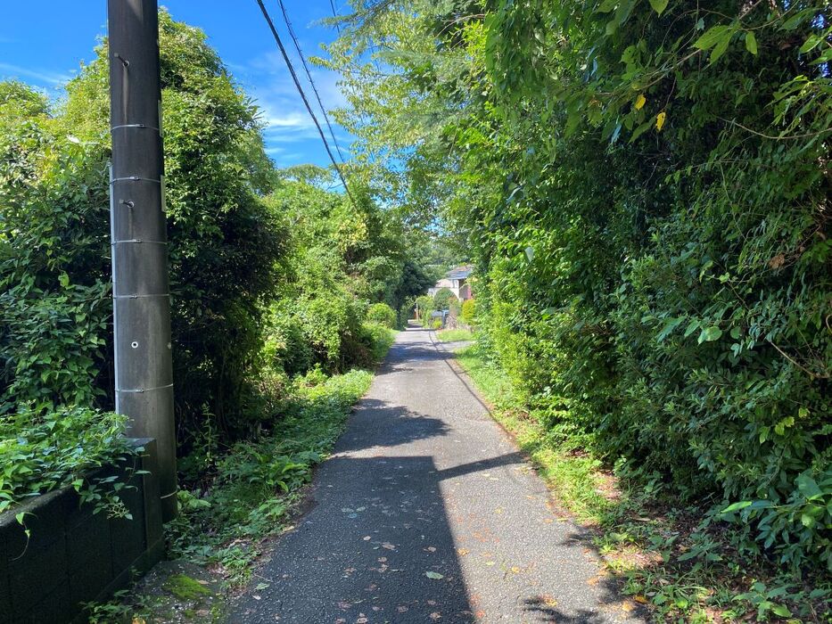 画像4377