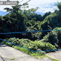 画像4378