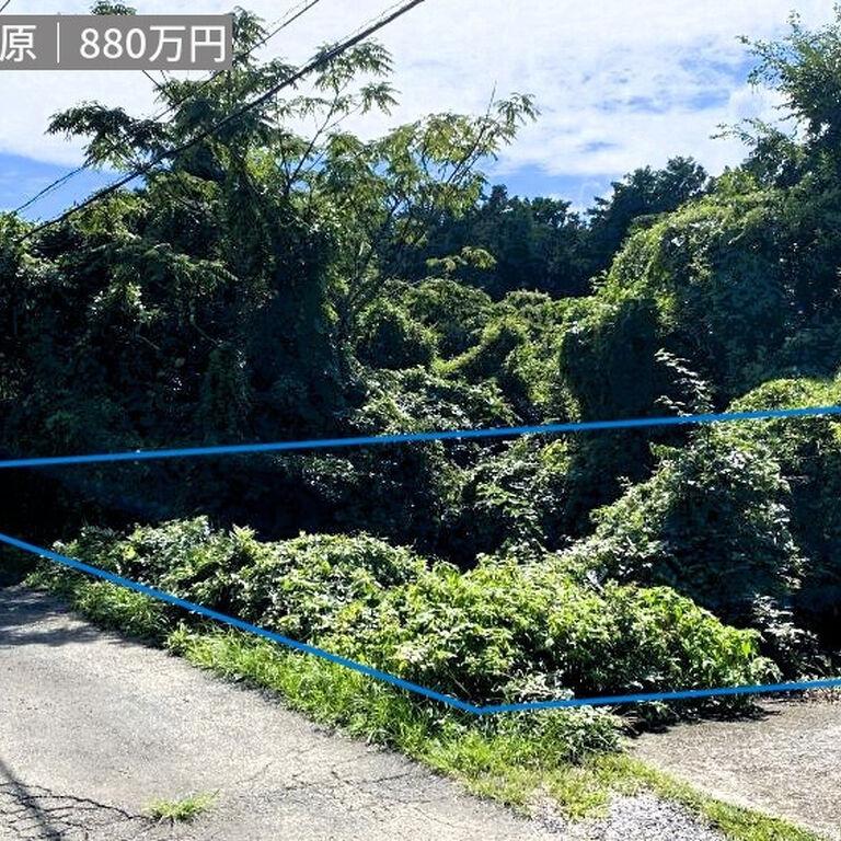 画像4378