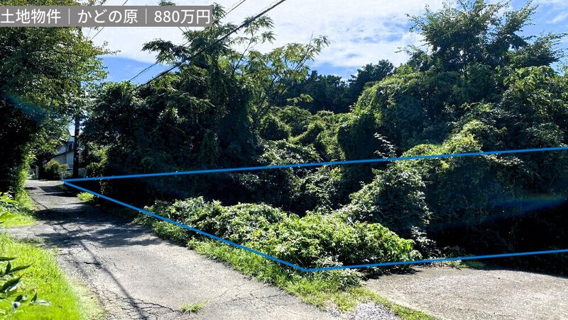画像4378