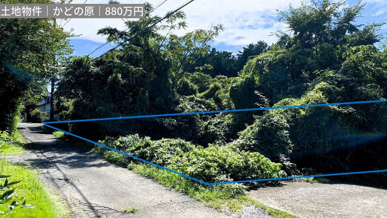 画像4378